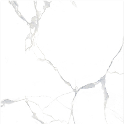CONCORD 50X50 CALACATTA WHITE (TK)